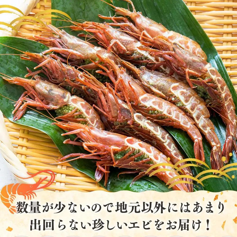 ダイオウキジンエビ 300g えび 知床 羅臼 国産 北海道