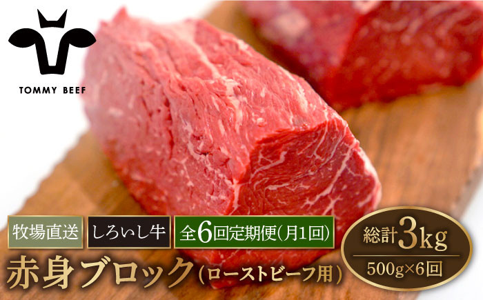 
            【牧場直送】【6回定期便】佐賀県産しろいし牛 赤身ブロック（ローストビーフ用）500g【佐賀セントラル牧場】佐賀県産 牛肉 和牛 牛 ローストビーフ ろーすとびーふ お肉 肉 赤身 九州 佐賀県 白石町  白石 [IAH137]
          