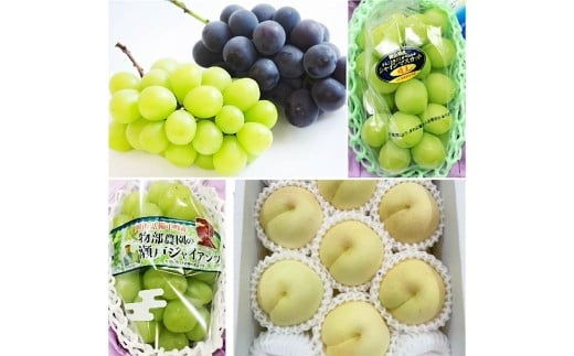 【4回定期便】シャインマスカット・ニューピオーネ・瀬戸ジャイアンツ・岡山冬桃がたり 【2026年9月上旬より順次発送開始】 果物 くだもの フルーツ ぶどう ブドウ 葡萄 マスカット 種なし 桃 冷蔵 国産