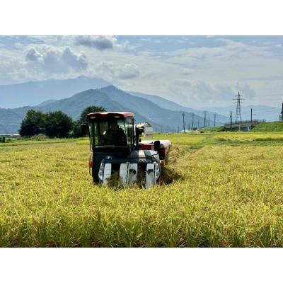 ふるさと納税 南魚沼市 【令和7年産】南魚沼産コシヒカリ 精米 白米5kg |  | 01