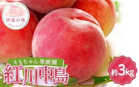 ≪2025年出荷分≫先行予約 ももちゃん果樹園の自慢の桃「紅川中島」約3kg（7～9玉） 2025年8月中旬～2025年8月下旬発送 伊達の桃 福島県 伊達市 桃 もも モモ 果物 くだもの フルーツ 国産 食品 F21C-044