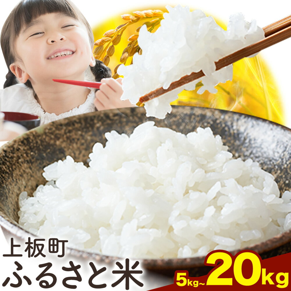 【ふるさと納税】もちもち美味しい！ ふるさと応援米 精米 5kg~20kg 《10月中旬-11月末頃出荷》徳島県 上板町 お米 米 白米 送料無料