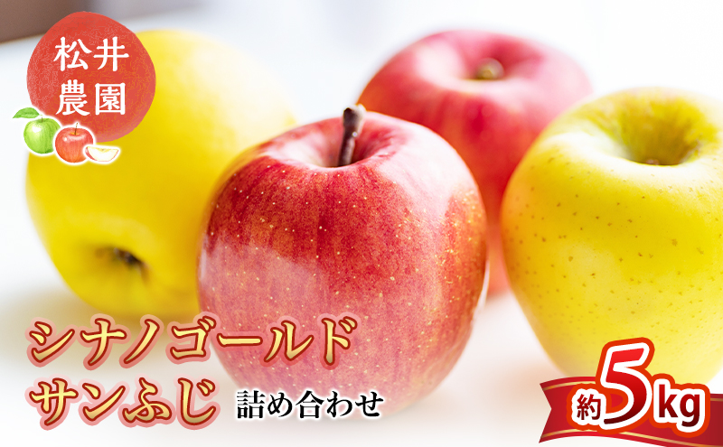 りんご サンふじ シナノゴールド 詰め合わせ 約5kg フルーツ 果物 甘い 林檎 セット