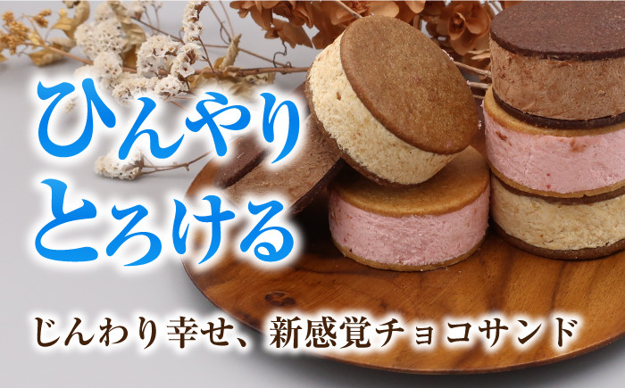 スイーツ ショコラサンド チョコレート ストロベリー 焼き菓子 洋菓子 お菓子 セット 詰め合わせ 詰合せ ギフト 定期便
