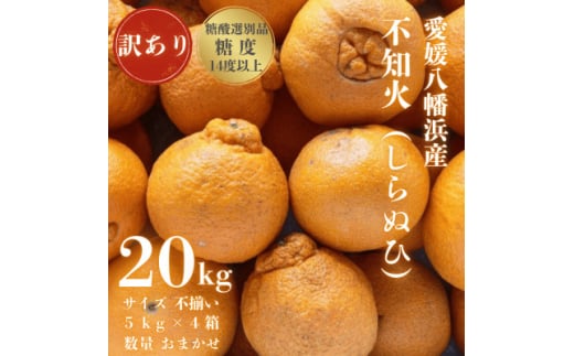 ＜糖度14.0以上酸1.4以下＞糖酸選別品 愛媛産 訳あり不知火(しらぬひ)20kg＜H20-62＞【1620231】