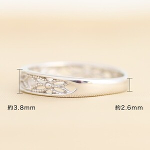 プラチナ Pt900 天然ダイヤモンド リング｜dr6638-pt