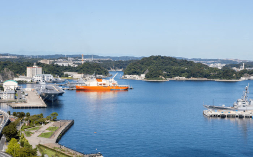 よこすか海軍カレーセット 200g×80箱 海軍カレー カレー レトルトカレー レトルト食品 かれー カレーライス レトルト カレー 自宅用 簡単料理 ごはんのお供 国産 銘品 横須賀 海軍カレー ご