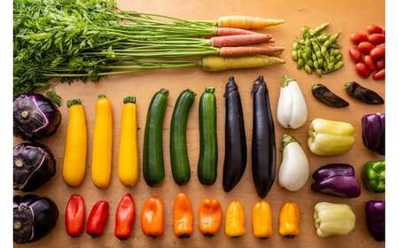  12ヶ月定期便 四元豚 厳選カット肉 & 季節のうるおい野菜 セット GIFTON お歳暮 お中元  ギフト プレゼント 母の日 父の日 誕生日 お祝い 卒業祝い 入学祝い バーベキュー BBQ 焼