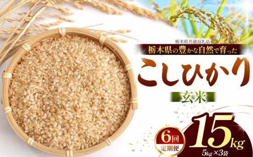 【先行予約】【定期6回】 こしひかり（玄米）約 15kg 栃木県共通返礼品｜コシヒカリ 米 玄米 おいしい お米 こめ おこめ  国産 ごはん ご飯  米 おこめ 限定 ランキング 人気  ふるさと 納税 栃木県 那珂川町 送料無料