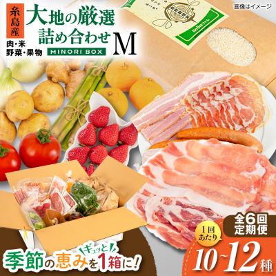 ふるさと納税 糸島市 全6回定期便 糸島産 肉 米 野菜 果物 厳選詰め合わせ MINORI BOX M [AOP013]