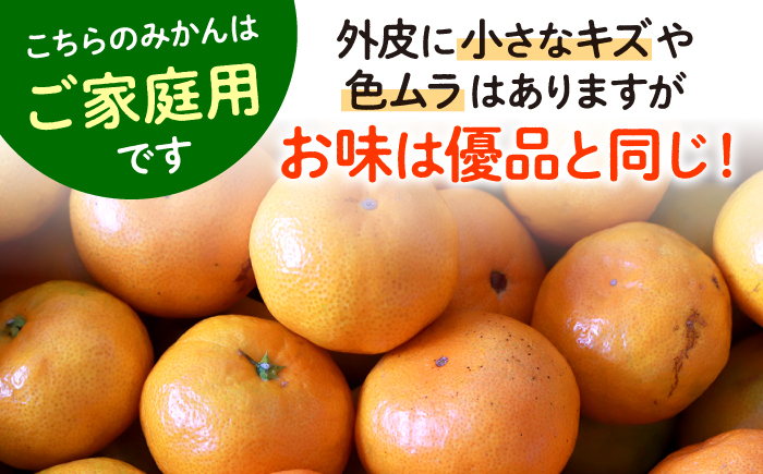【ご家庭用】 長崎 味ロマン みかん 約5kg＜長崎西彼農業協同組合＞ [CGU001]