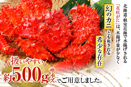 【北海道根室産】花咲がに500g前後×2尾(計1kg) A-54013