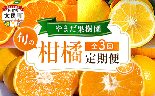 【3回定期便】やまだ果樹園の柑橘定期便　みかん ミカン 蜜柑 たらみかん 太良みかん 柑橘 国産 フルーツ 果物 くだもの 果実 ビタミン豊富 爽やか 甘い 濃厚 贈答品 贈り物 定期便 定期 佐賀県