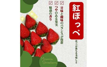 地元JA品評会金賞受賞　冷凍イチゴ4Kg　【 いちご 果物 フルーツ 苺 イチゴ 冷凍 果物 フローズン くだもの 大容量 静岡県産 期間限定 】