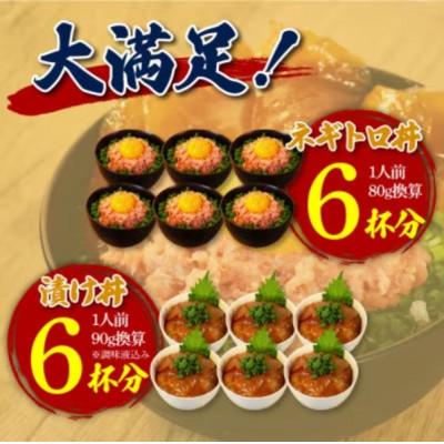 ふるさと納税 高知市 ネギトロ 約80g×6パック+マグロの漬け 約90g×6パック【BX050】