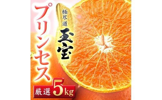 ≪新品種!!≫＜甘平×まどんな＞愛果48号(紅プリンセスと同品種)5kg＜H64-78＞【1621823】 YWTY067