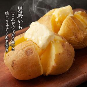 【先行予約】秋の味覚　男爵いも・玉ねぎ・かぼちゃ1玉　合計8kg (2026年10月上旬から発送開始) |かぼちゃ_04757