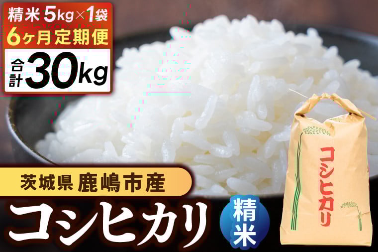 
            ★令和7年産★【6ヶ月定期便】 米 コシヒカリ 5kg × 6回 (精米) 鹿嶋市産【お米 白米 こしひかり 茨城県 鹿嶋市 80000円以内】(KDS-9)
          