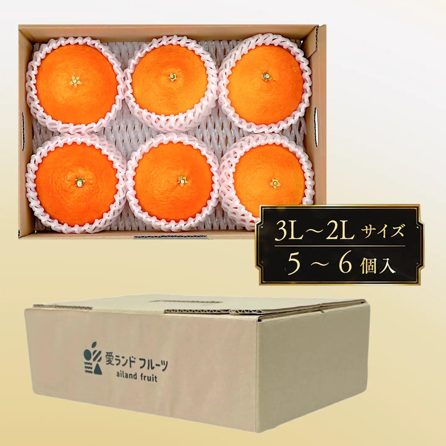 紅まどんな（秀品・5～6個入）｜柑橘 まどんな