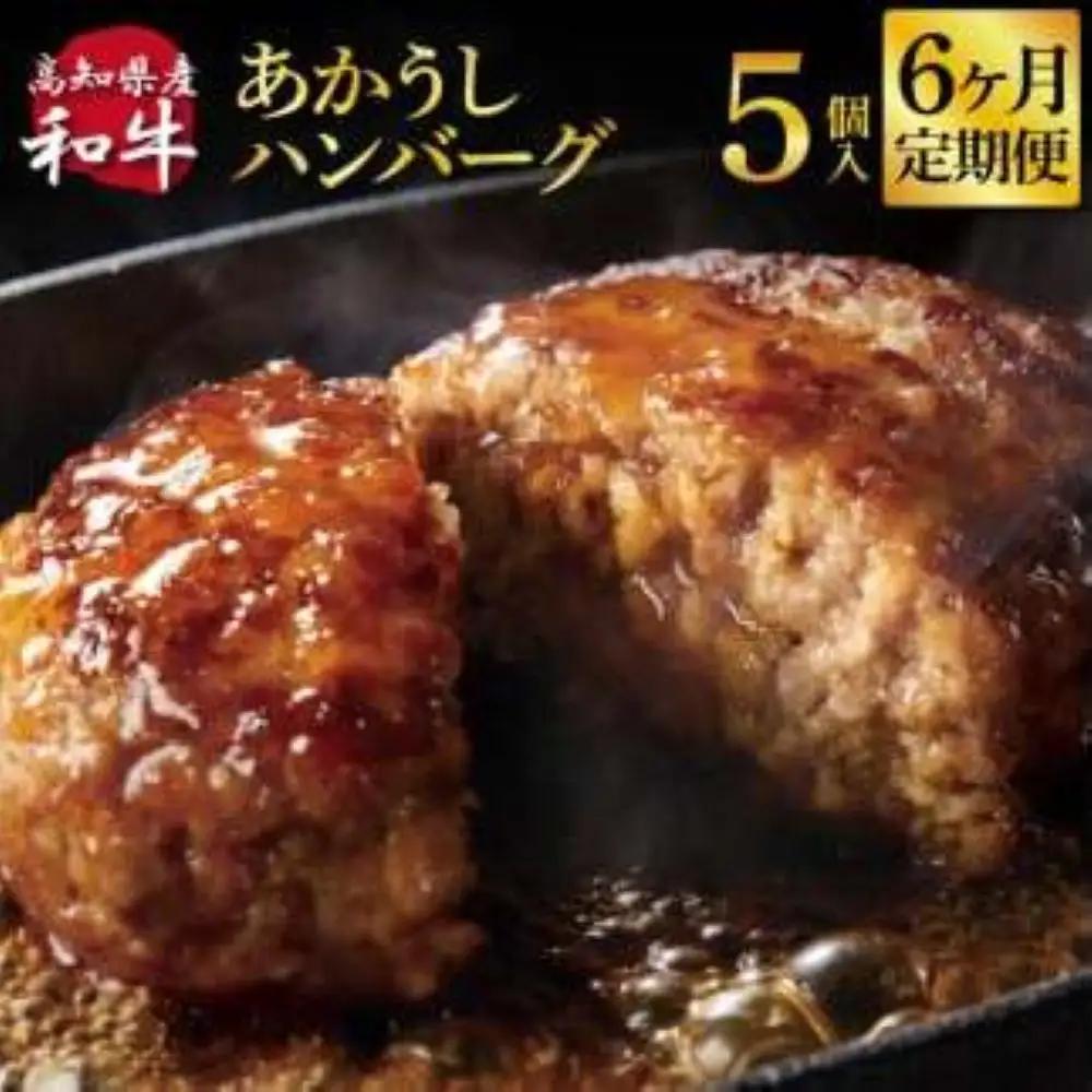 創業50年老舗レストランの幻の和牛あかうしハンバーグ120g×5ケ 6ヶ月定期便 土佐あかうし 美鮮豚 牛肉 高級 ハンバーグ 冷凍 美味しい 肉汁ハンバーグ 焼くだけ 小分け 個包装 高級 国産 定期便 定期コース