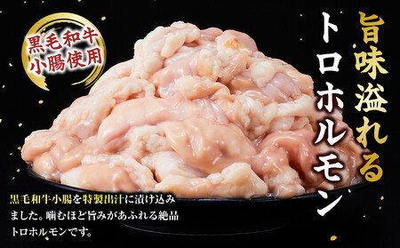 黒毛和牛トロホルモン（小腸）　特製だし1.2kg ( 300g ×4パック )【2026年4月発送】