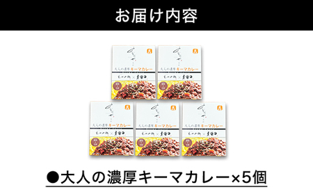大人の濃厚キーマカレー（5人前）｜HG0038-A