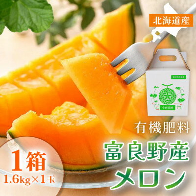 【ふるさと納税】富良野産メロン 2kg×1玉/2kg×2玉/2kg×4玉/1.6kg×1玉/1.6kg×2玉【G1301784】