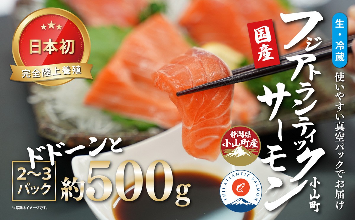 
                  日本初 完全陸上養殖 静岡県小山町産 フジアトランティックサーモン 生 ・冷蔵 2～3P 約500g | サーモン アトランティックサーモン 刺身 海鮮丼 小分け 真空パック 国産 鮭 養殖 静岡県 小山町
                