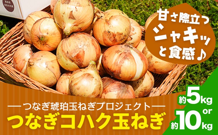
                  玉ねぎ つなぎコハク玉ねぎ 選べる内容量 約5kg 約10kg《4月中旬-5月中旬出荷》熊本県 葦北郡 津奈木町 つなぎ琥珀玉ねぎプロジェクト 野菜 たまねぎ
                