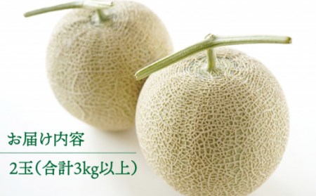 【2025年11月中旬～発送】【数量限定】 アールスメロン 2玉 / 3kg以上 高級 果物 フルーツ メロン マスクメロン めろん / 南島原市 / 長崎県農産品流通合同会社 [SCB074] 
