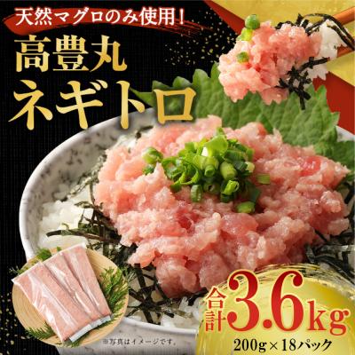 ふるさと納税 室戸市 高豊丸ネギトロ3.6kg