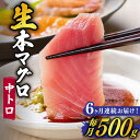 【ふるさと納税】【全6回定期便】【ながさき水産業大賞受賞！！】 五島列島産 養殖 生本かみまぐろ 中トロ ブロック 500g【カミティバリュー】 [RBP065]