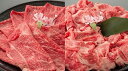 【ふるさと納税】近江牛二種セット【1kg（赤身スライス500g、切り落とし500g）】【牛肉】【牛】【牛丼】【すき焼き】【赤身】【国産】