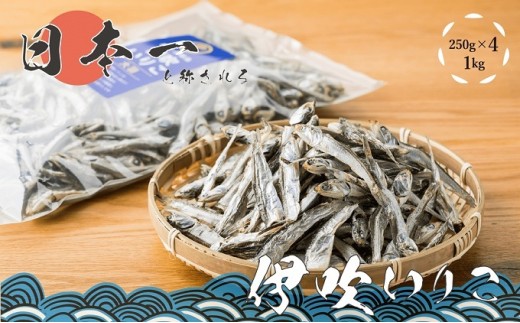 伊吹いりこ いりこ 煮干 瀬戸内海 香川県産 煮干し 大羽 250g × 4袋 伊吹島産 カタクチイワシ 鰯 出汁 だし 乾物 魚介類 味噌汁 うどん出汁 酒のつまみ 保存食 食品添加物不使用 カルシウム 健康 海の幸 漁師 鮮度 良質 家庭料理 問屋 香川県 観音寺市