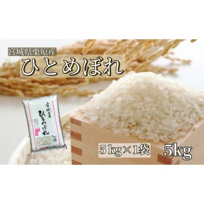 ふるさと納税 栗原市 【令和7年産】宮城栗原産 ひとめぼれ 白米5kg (5kg×1袋)