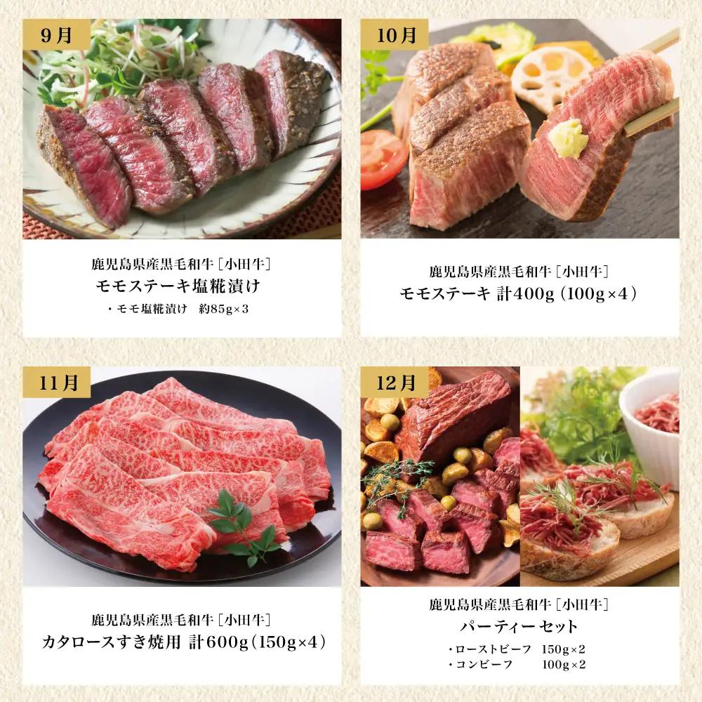 【全12回】プレミアムブランド「小田牛」定期便［～雅～］ 鹿児島県産 黒毛和牛 ステーキ すき焼き 焼肉 焼き肉 BBQ ハンバーグ 餃子 ぎょうざ 焼売 しゅうまい レトルト カレー パスタソース 