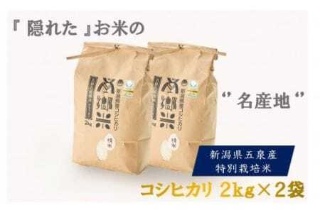 【令和6年度産新米】特別栽培米コシヒカリ100％「南郷米」精米 4kg（2kg×2袋） 有限会社ファームみなみの郷