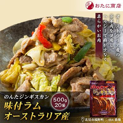 ふるさと納税 北見市 【家族みんなで楽しめる】のんたジンギスカン 味付ラム オーストラリア産　500g×20袋