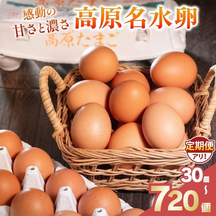 【ふるさと納税】卵 たまご 選べる 定期便 高評価 人気 | 鶏卵 玉子 濃厚 甘い 卵かけご飯 TKG 楽天ふるさと納税 高原名水卵 30個～60個 栃木県 矢板市