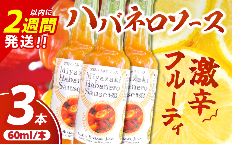 爽やか激辛食感 フルーティなハバネロソース 数量限定 宮崎 ハバネロ ソース 計3本 激辛ソース 調味料 おすすめ 加工品 オリジナル ブレンド 肉料理 パスタ ピザ ギフト プレゼント 贈り物 お取り寄せ 宮崎県 日南市 送料無料 日南スピード配送 コカゲワークス ハバネロソース_AA64-24