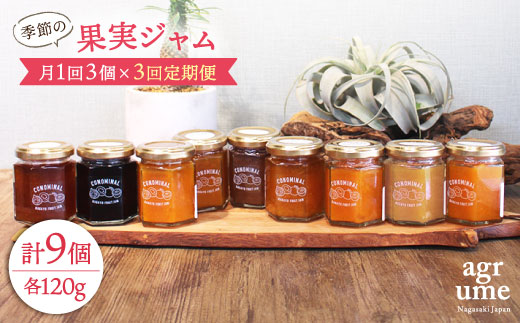 【全3回定期便】 季節の果実ジャム 毎月3本（120g/本） 長与町/アグリューム [EAI007] 瓶 個別 セット ジャム
