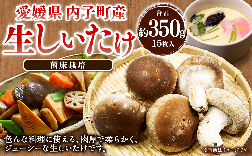 
            内子町産 生しいたけ（菌床栽培）15枚入り【えひめの町（超）推し！（内子町）】(442)
          