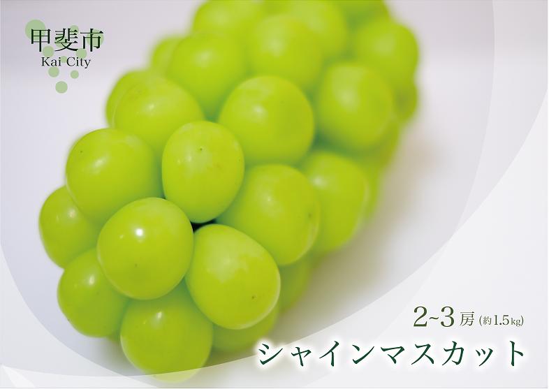 
【✩先行予約✩2024年/令和6年発送分】最高級ランク　シャインマスカット2～3房(約1.5㎏相当）　 [山梨 シャインマスカット]
