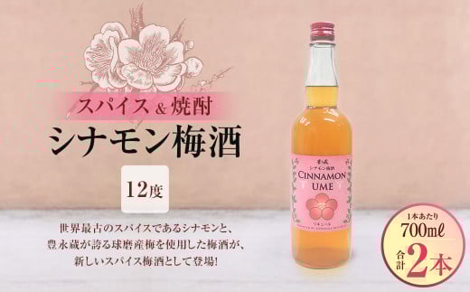 スパイス＆焼酎 シナモン梅酒12度 700ml×2本