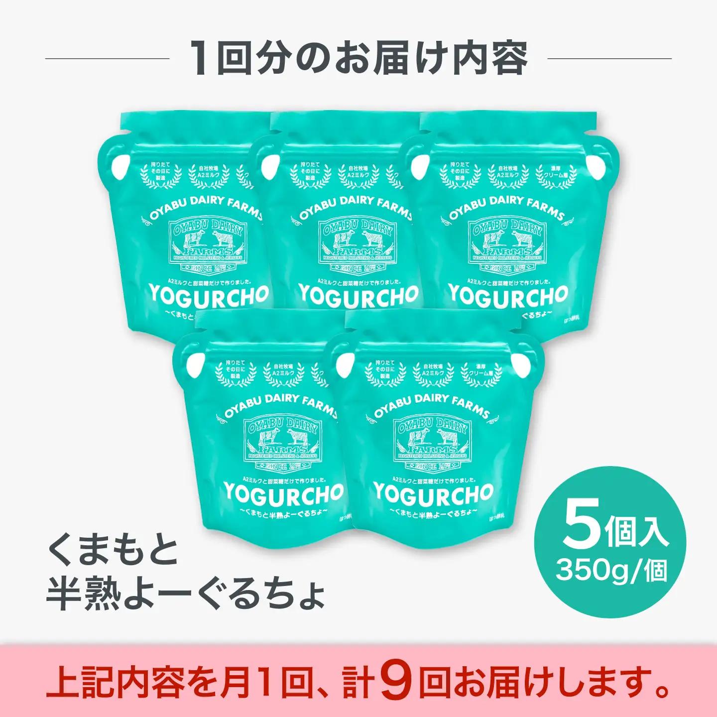 【全9回定期便】オオヤブデイリーファーム くまもと半熟よーぐるちょ 350g×5個ヨーグルト[AYAE021]