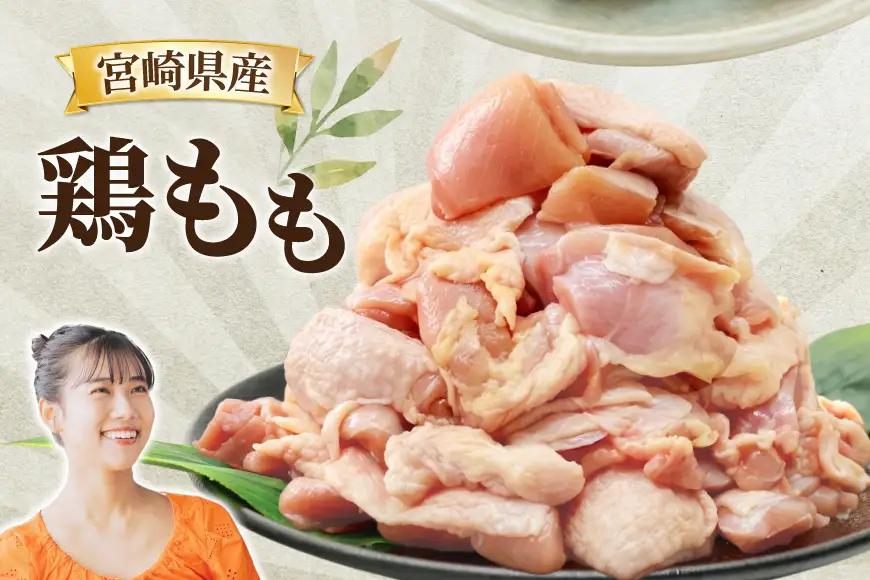 鶏肉 6回 定期便 もも 切身 340g 5袋 1.7kg 計10.2kg