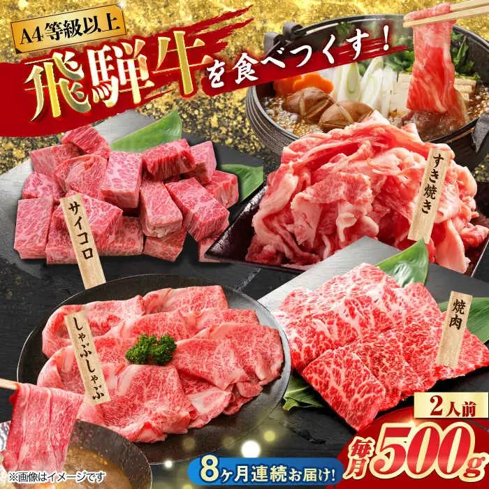 【8回定期便】  飛騨牛 プレミアム 定期便 2人前 ( しゃぶしゃぶ × すき焼き × サイコロステーキ × 焼肉 ) 各500g[TAZ047]牛肉