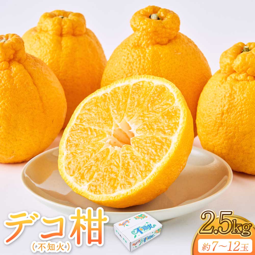 【ふるさと納税】 果実の宝箱 デコ柑（不知火） 約2.5kg 7玉〜12玉 田辺農園 【2025年3月上旬から5月下旬発送予定】