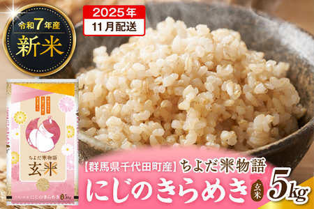 2025年11月発送【令和7年度産】群馬県千代田町産 にじのきらめき 5kg×1袋 (玄米) 群馬県 千代田町