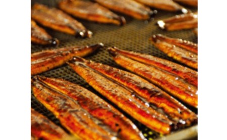 うなぎ 丸半堀江商店 串焼きうなぎ蒲焼 7袋 うなぎ